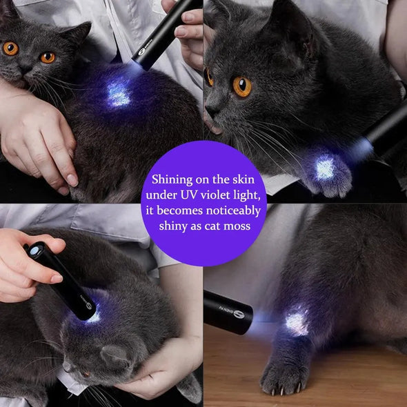 Cat Moss Detection Light