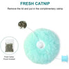 Smart Plush Electric Catnip Training Toy