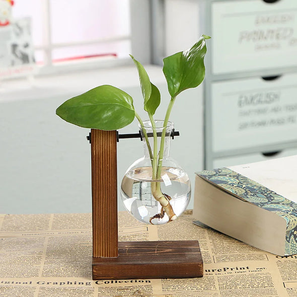 Creative Wooden Frame Hydroponic Vase