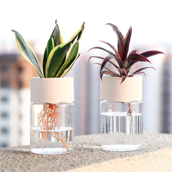 Mini Hydroponic Flower Pot  For Home Decoration