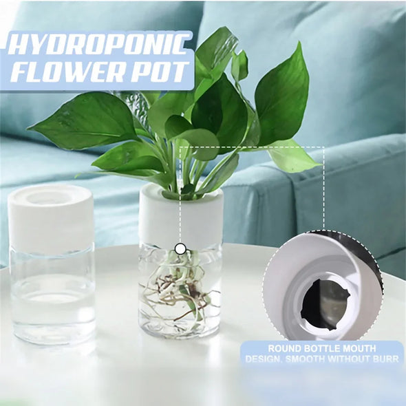 Mini Hydroponic Flower Pot  For Home Decoration