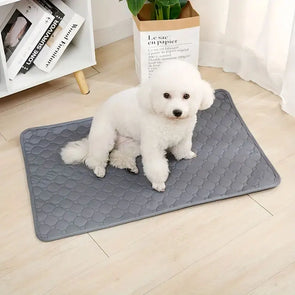 Reusable Washable pet Urine Mat