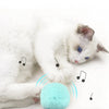 Smart Plush Electric Catnip Training Toy