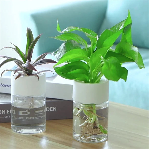 Mini Hydroponic Flower Pot  For Home Decoration